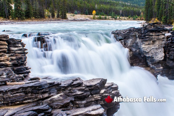 Athabasca Falls in Jasper National Park in May