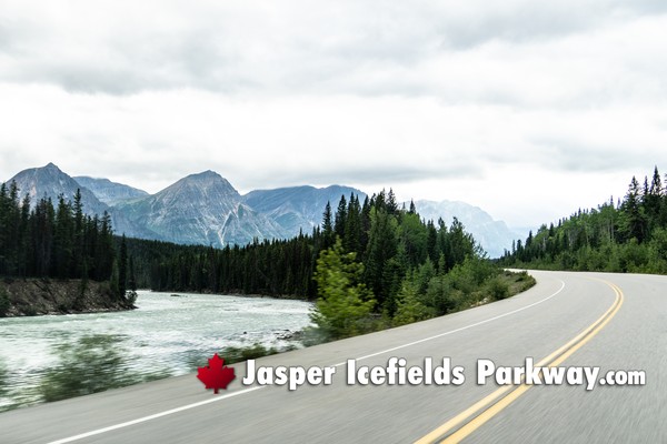 Jasper Icefields Parkway During May