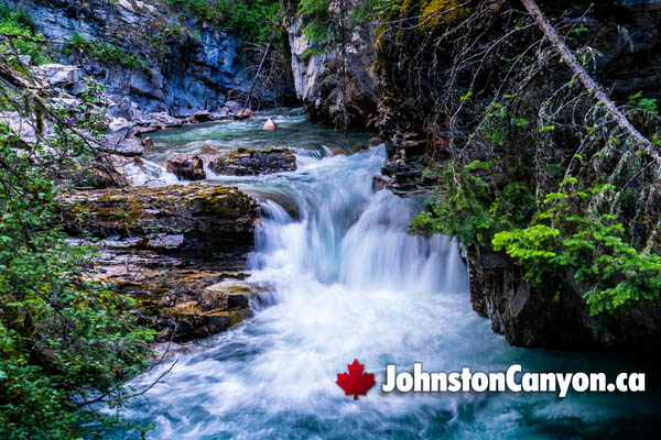 Johnston Canyon During May