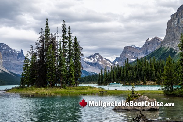 Jasper Maligne Lake Boat Cruise During May